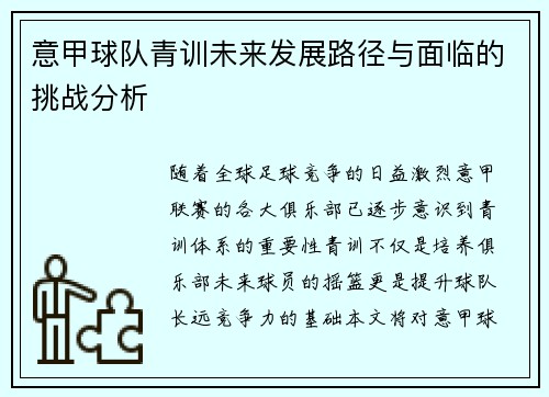 意甲球队青训未来发展路径与面临的挑战分析