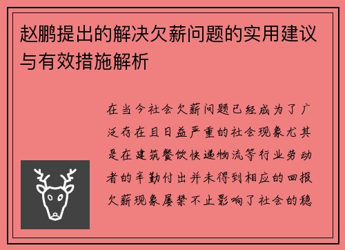 赵鹏提出的解决欠薪问题的实用建议与有效措施解析